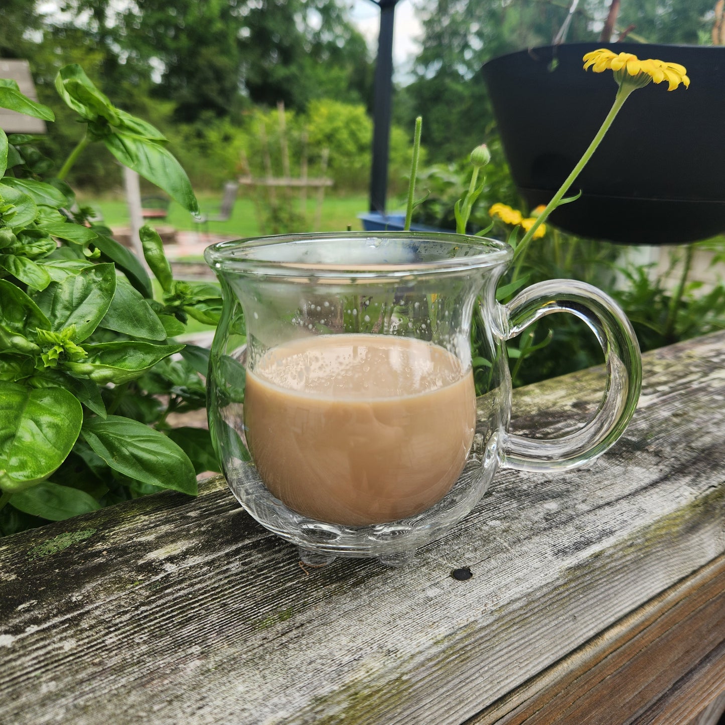 Clear Double Walled Glass Cauldron Mug